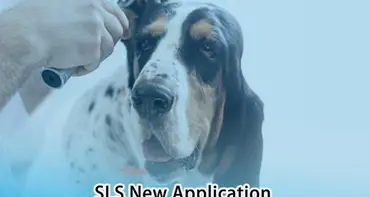 แอปพลิเคชันใหม่| SLS 3D Printing เพื่อพัฒนา Pet Ear Endoscope Probes